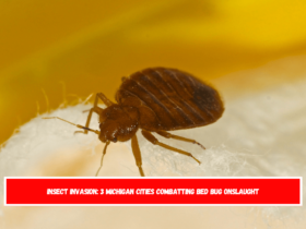 Insect Invasion 3 Michigan Cities Combatting Bed Bug Onslaught