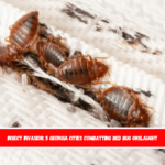 Insect Invasion 5 Georgia Cities Combatting Bed Bug Onslaught