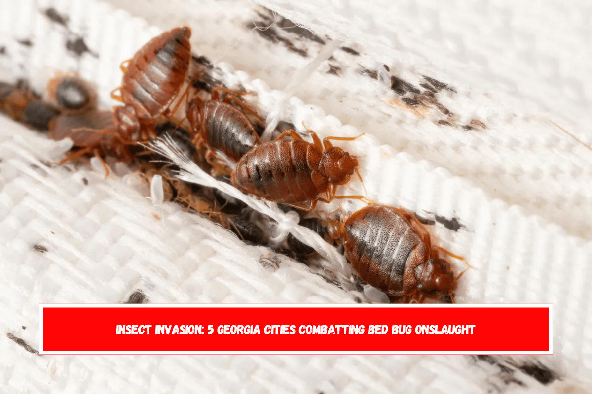 Insect Invasion 5 Georgia Cities Combatting Bed Bug Onslaught