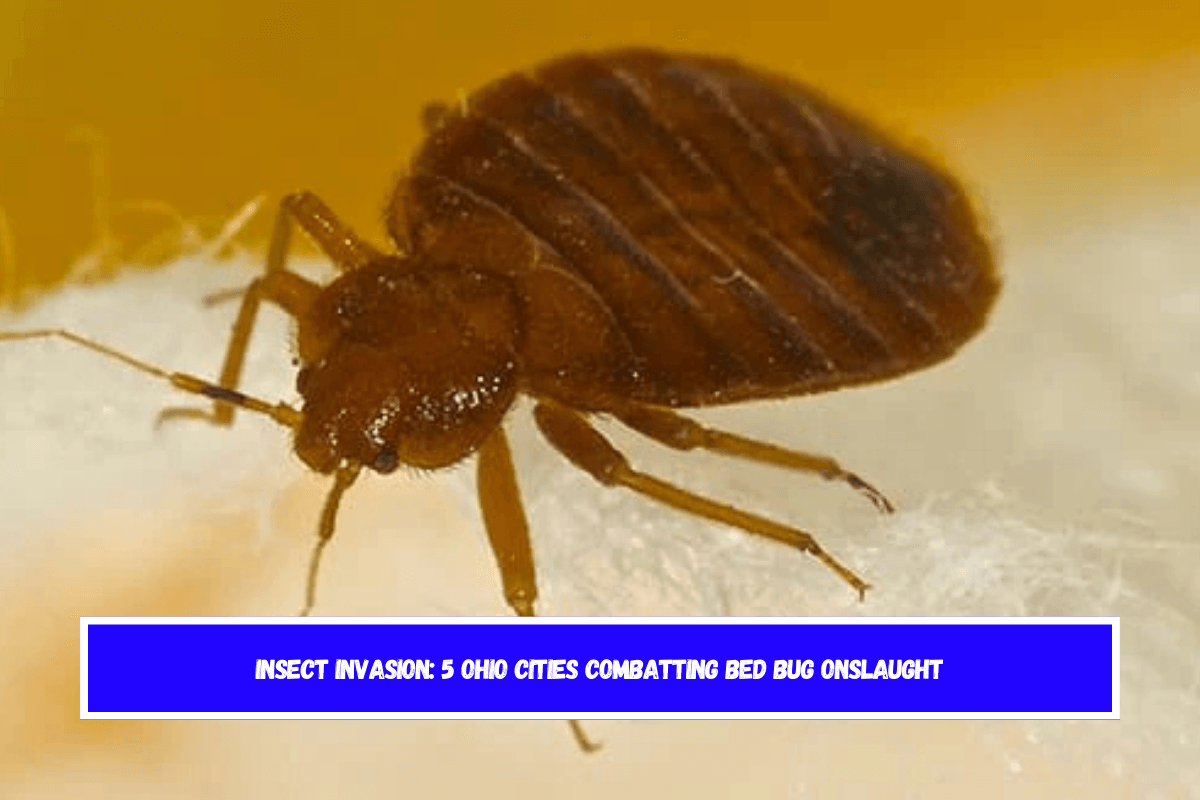 Insect Invasion 5 Ohio Cities Combatting Bed Bug Onslaught