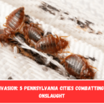 Insect Invasion 5 Pennsylvania Cities Combatting Bed Bug Onslaught