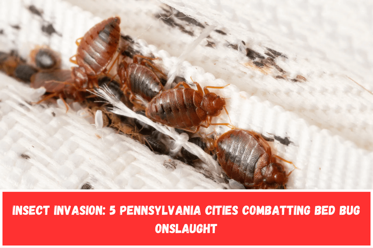 Insect Invasion 5 Pennsylvania Cities Combatting Bed Bug Onslaught