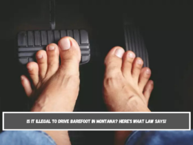 Is it illegal to drive barefoot in Montana Here's What Law Says!