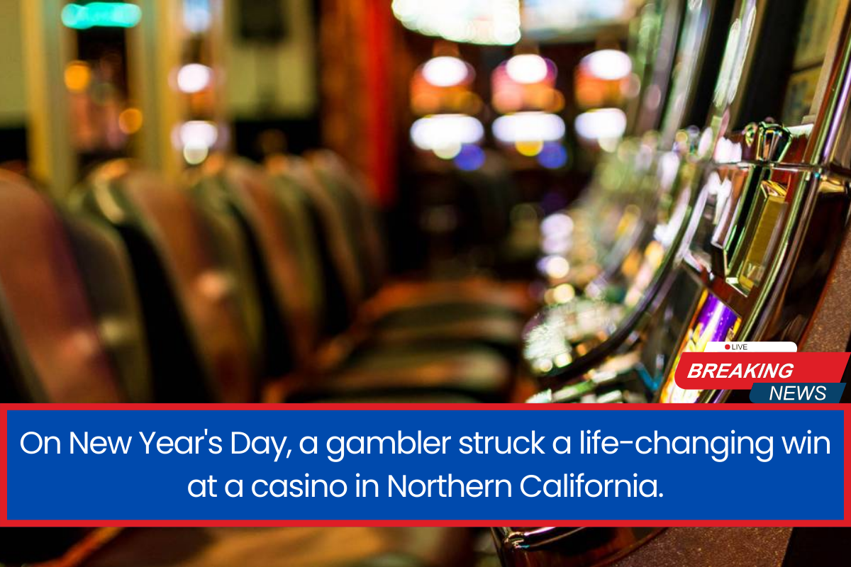 On New Year's Day, a gambler struck a life-changing win at a casino in Northern California.