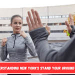 Understanding New York's Stand Your Ground Law