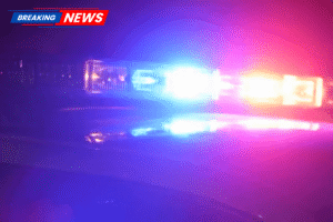 One person died after being hit by a vehicle on I-45 in Texas