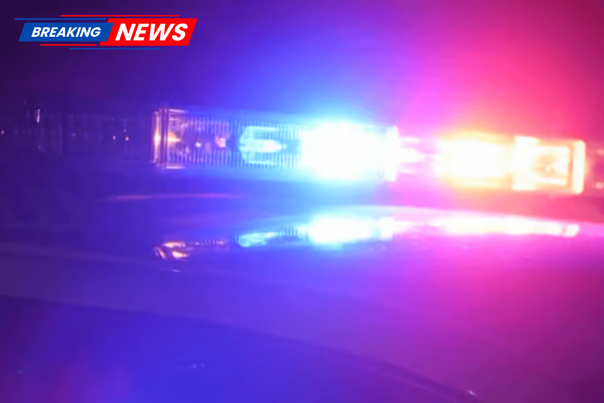 One person died after being hit by a vehicle on I-45 in Texas